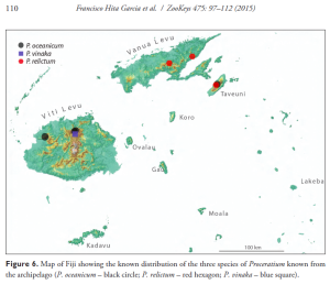 Distribution map of Fijian Proceratium species